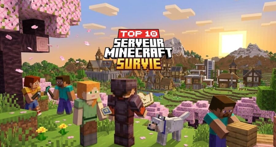 Installation PufferPanel Minecraft
