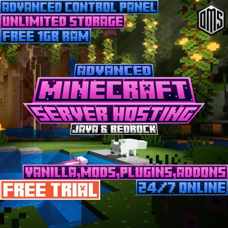 Hébergement serveur Minecraft