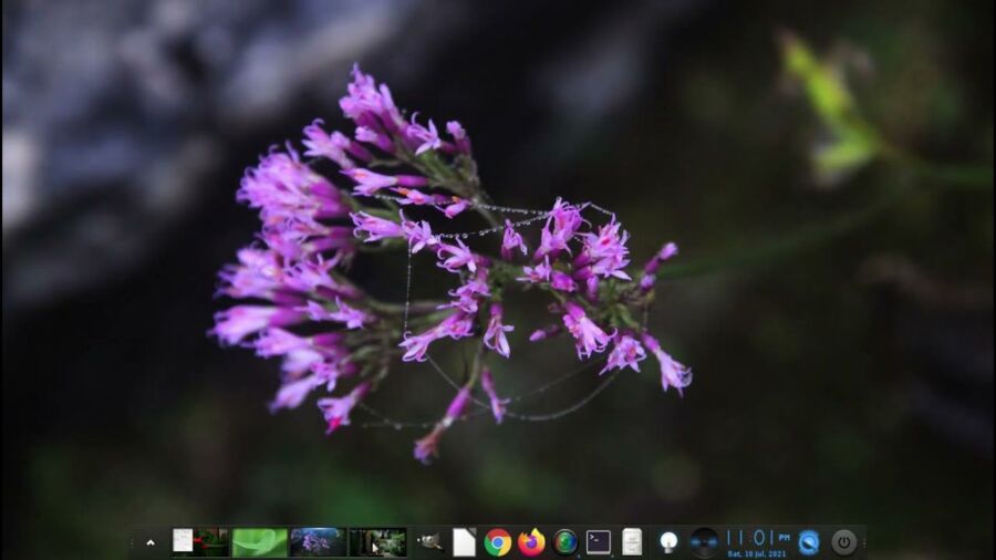 Télécharger Debian 11 rapidement