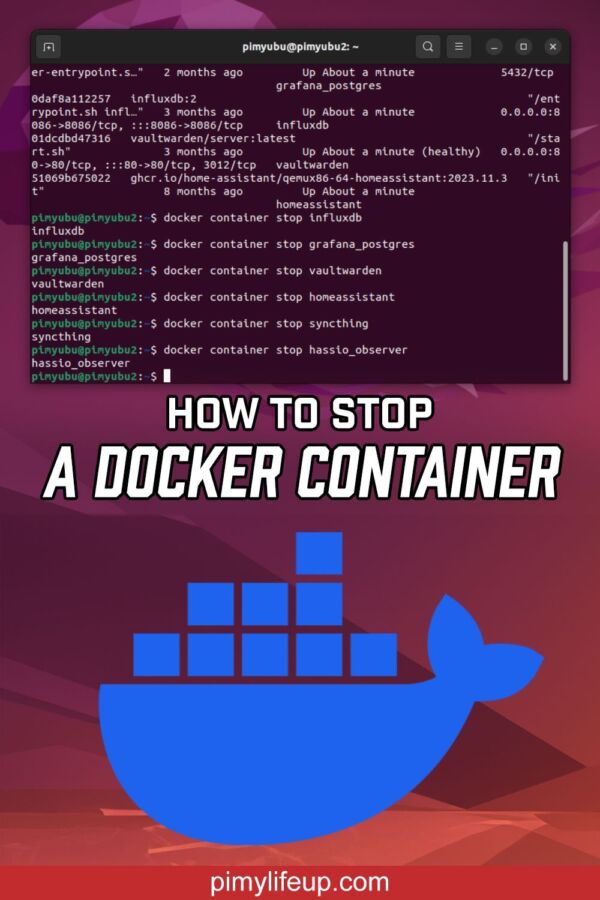 Étapes pour delete container Docker
