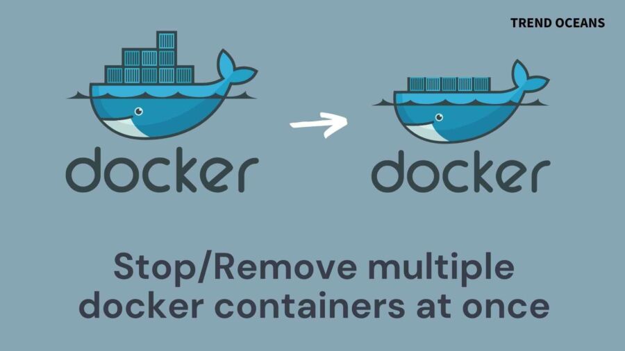 Nettoyage complet Docker